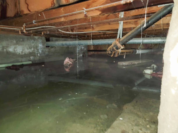 Best Residential water damage restoration  in Gilbert, AZ