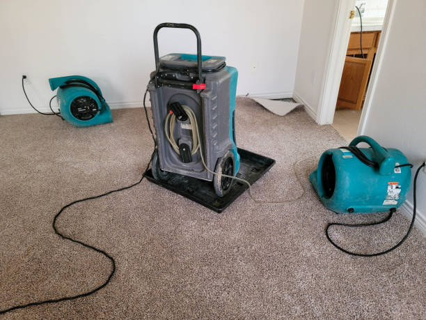 Best Flood damage cleanup  in Gilbert, AZ