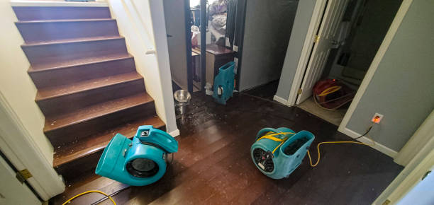 Best 24/7 water damage repair  in Gilbert, AZ