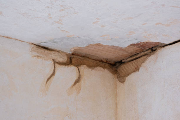 Best Ceiling water damage repair  in Gilbert, AZ
