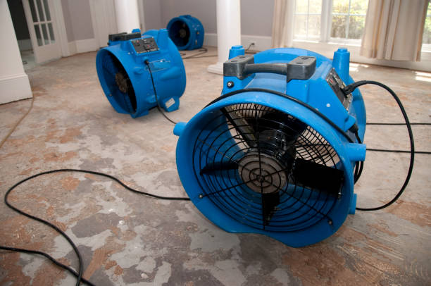 Best Flooded house restoration  in Gilbert, AZ