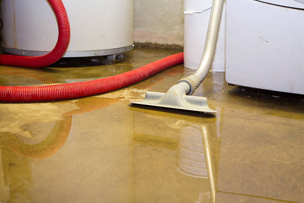 Best 24-hour water damage restoration  in Gilbert, AZ