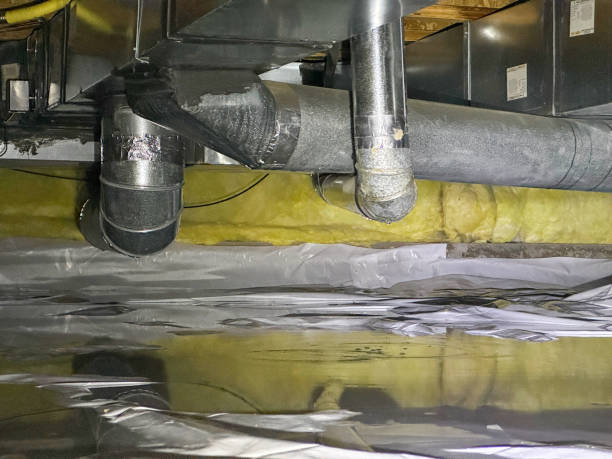 Best Basement water damage restoration  in Gilbert, AZ