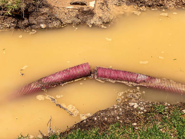 Best 24/7 water damage repair  in Gilbert, AZ
