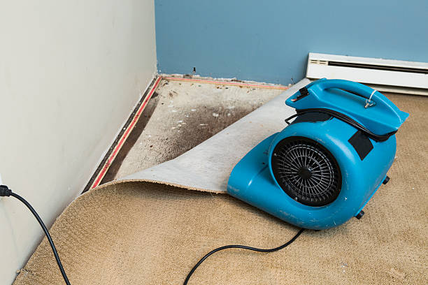 Best Flooded house restoration  in Gilbert, AZ